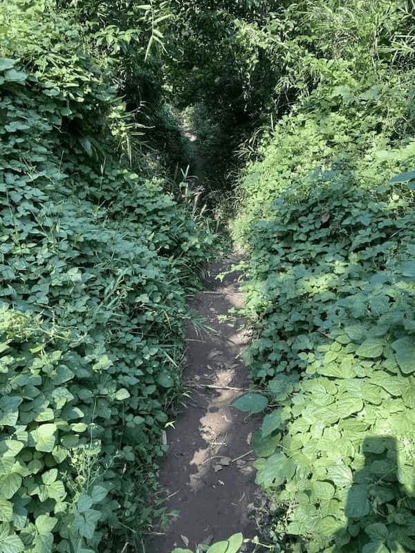 【神奈川・横浜】横浜市最高峰『大丸山』お気軽ハイキングでちょっと山頂へ♪