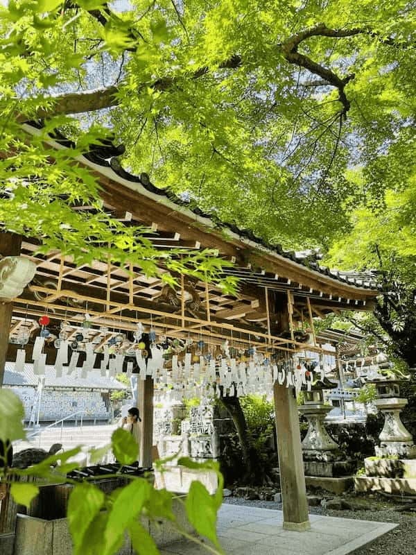 松尾大社（京都）の完全ガイド～お酒の神様の由来や境内の見どころなど～