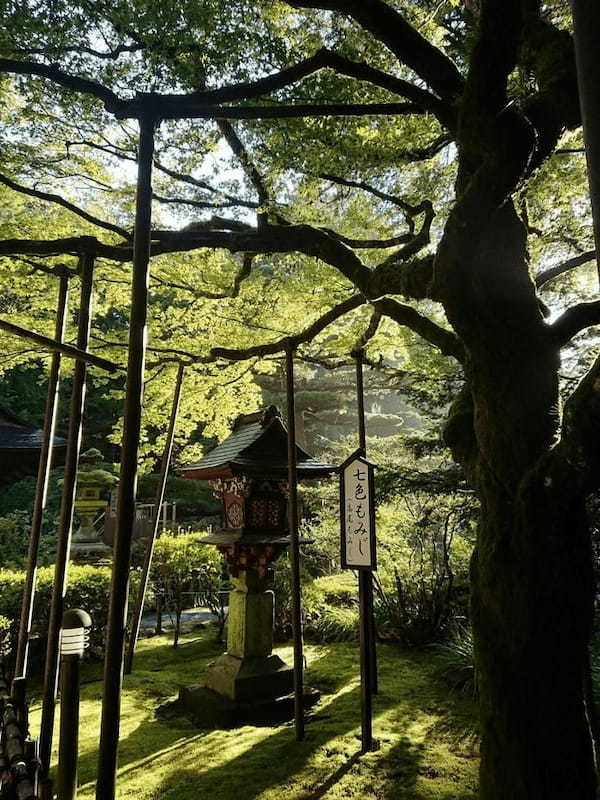 【山梨】富士山の麓・富士吉田市を自転車で周ってみた ～おすすめスポット7選も紹介します～