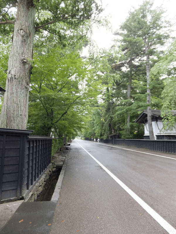 雨でも魅力たっぷり！幻想的な東北へ