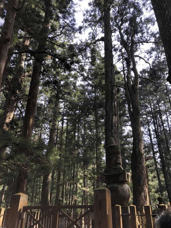 初めて訪れるなら日帰りバスツアーがおすすめ！秋の「高野山」