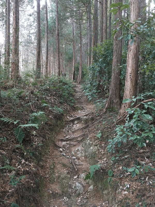 【埼玉・飯能】顔振(かあぶり)峠:義経伝説と渋沢平九郎の悲劇の舞台