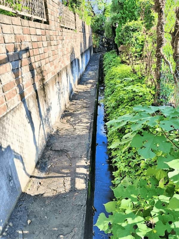 さむかわ小旅vol.1「寒川歴史浪漫紀行Ⅰ ―800年の伝承の謎を追って―」