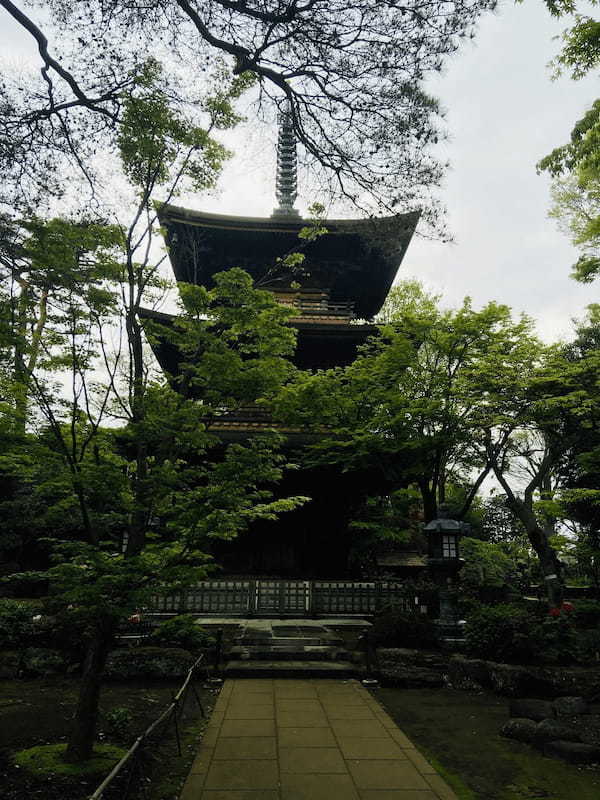 路面電車「世田谷線」で巡る！招き猫のお寺で招福祈願と幕末歴史散歩