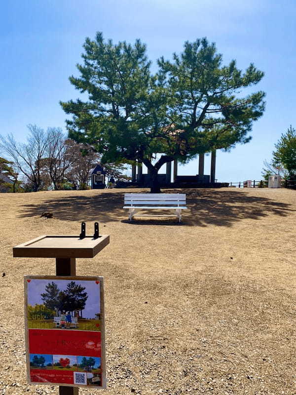 【2022年】香川県のオリーブの楽園 「小豆島」へ！