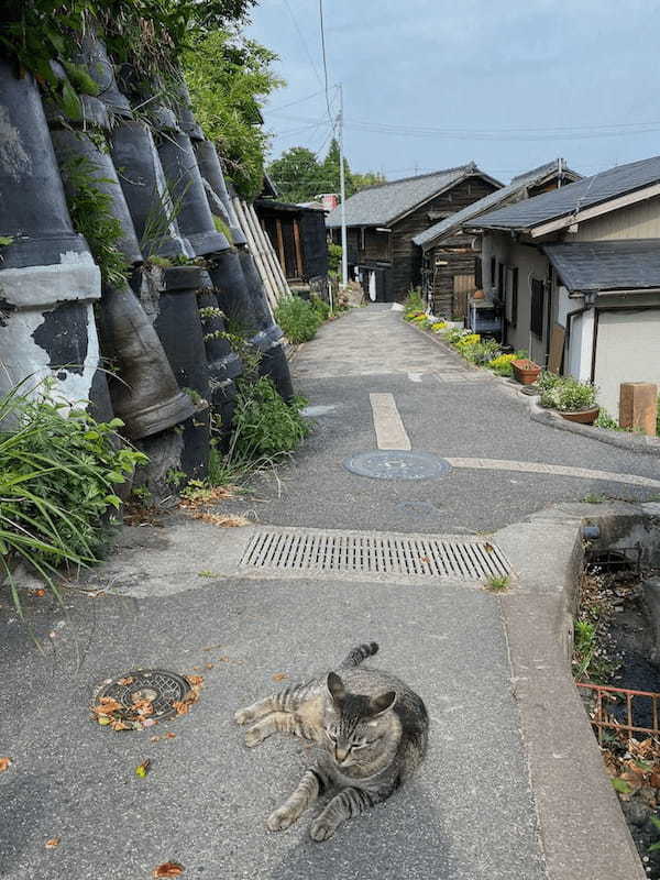 【愛知】焼き物の町、常滑で少しレトロで懐かしい街で散策を楽しもう