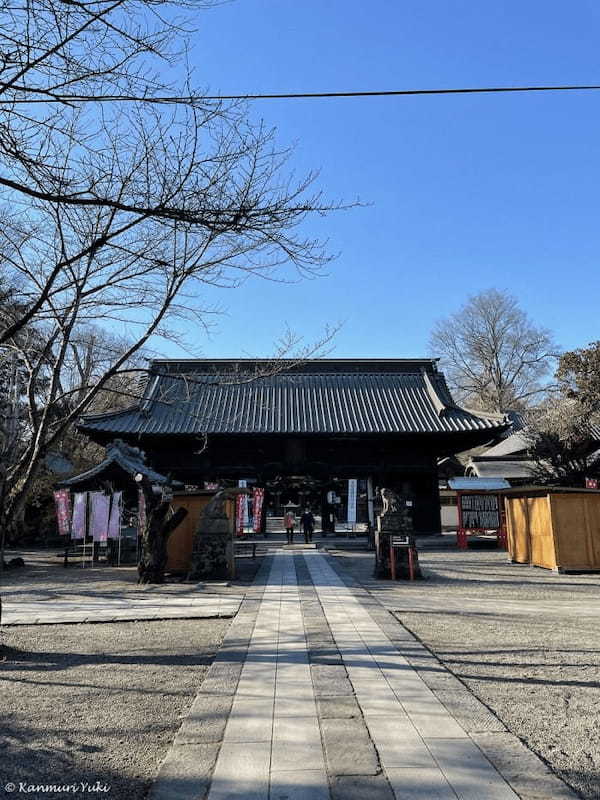 晴れの町、熊谷の国宝と桜の名所