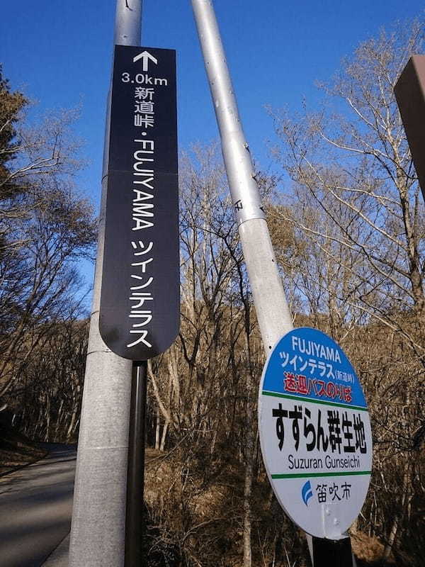 【山梨県】FUJIYAMAツインテラス から見る富士山と河口湖の絶景