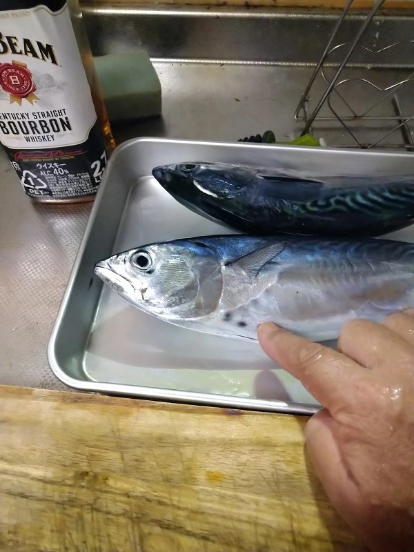 【連載】釣って食べるシリーズ第14弾！ウブスを堪能する！