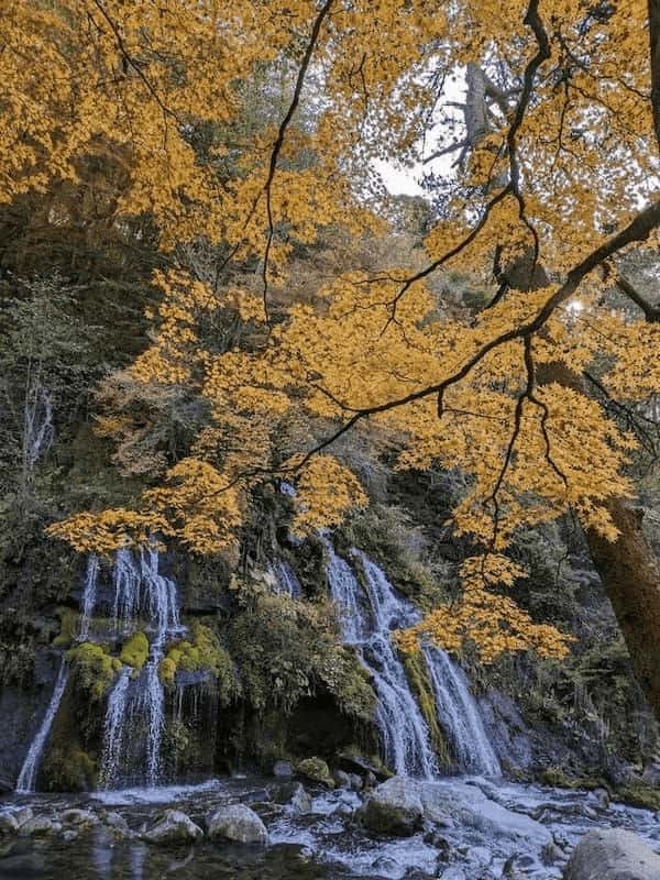 【山梨】南アルプスの天然水のふるさと 北杜市の見どころ