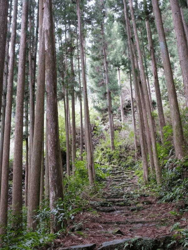 熊野三山「熊野速玉大社」はどこにある？ 霊験あらたかな地で人生甦りを実感する旅