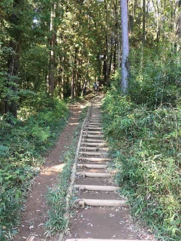 【埼玉県】飯能ハイキング・初心者向けコース（天覧山・多峯主山）