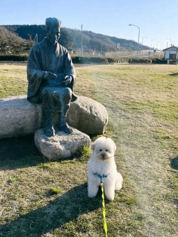 動物の遊具が4つ……と思いきや1つはワンコ　「だまされかけた（笑）」