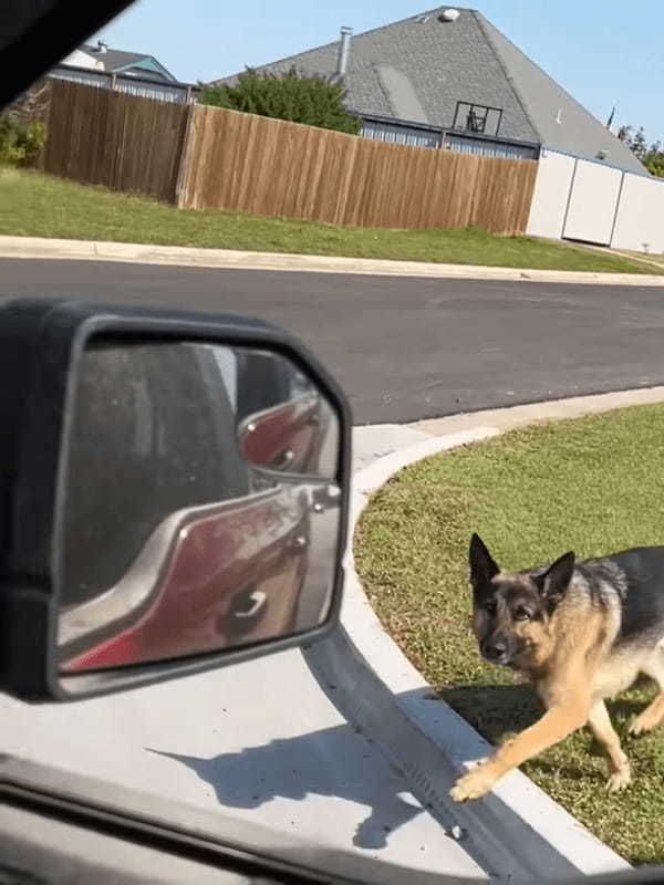 置いていかれるのが嫌だった？飼い主さんが車で外出することに気付いた愛犬は『ある行動』に出ました！！