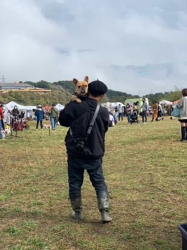 湘南国際村めぐりの森にて 保護犬のためのチャリティイベント開催！ DOGs CONFERENCEイベントレポート