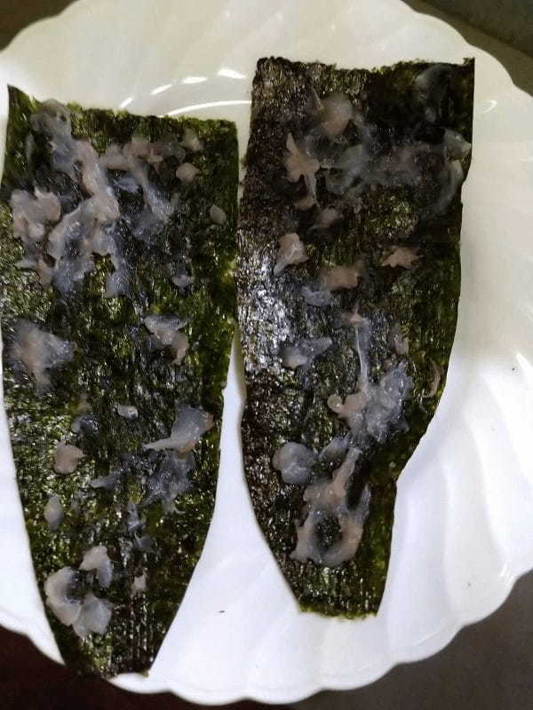 【連載】釣って食べるシリーズ！今回はマツカサの蒲焼。おまけのほうがすごい！