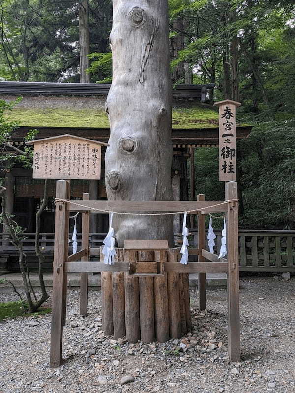 【長野県】御柱祭で知られるパワースポット 諏訪大社 下社二社 と周辺を散策