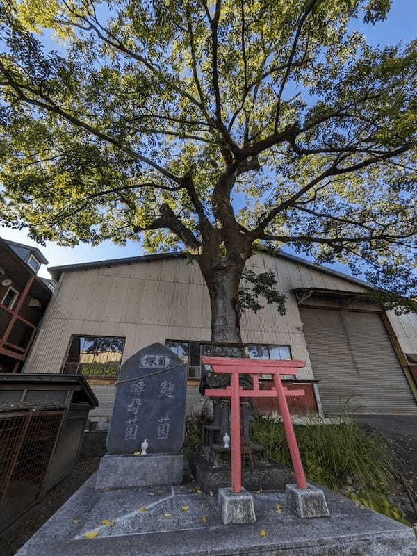 【山梨】南アルプスの天然水のふるさと 北杜市の見どころ