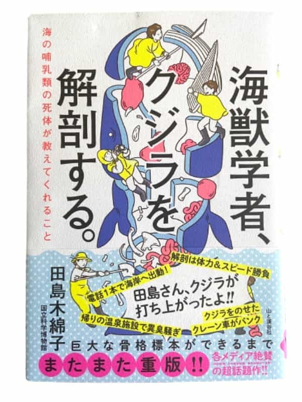【衝撃】クジラの胃から見つかる大量のプラごみ。海獣学者が危惧する生態系破壊