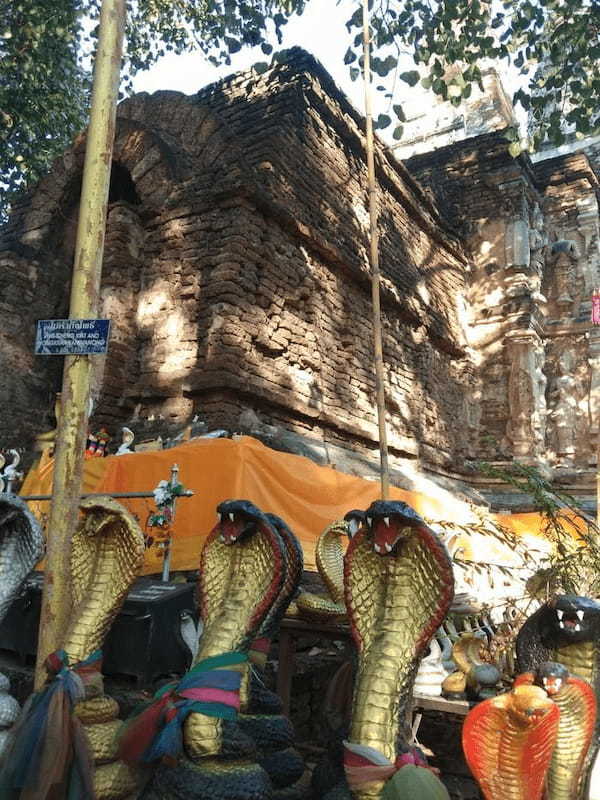 お寺にも干支がある!?ネズミを祀った「ネズミ寺」チェンマイ郊外ワット・シー・ジョムトーンにお参りして運気を高めよう!
