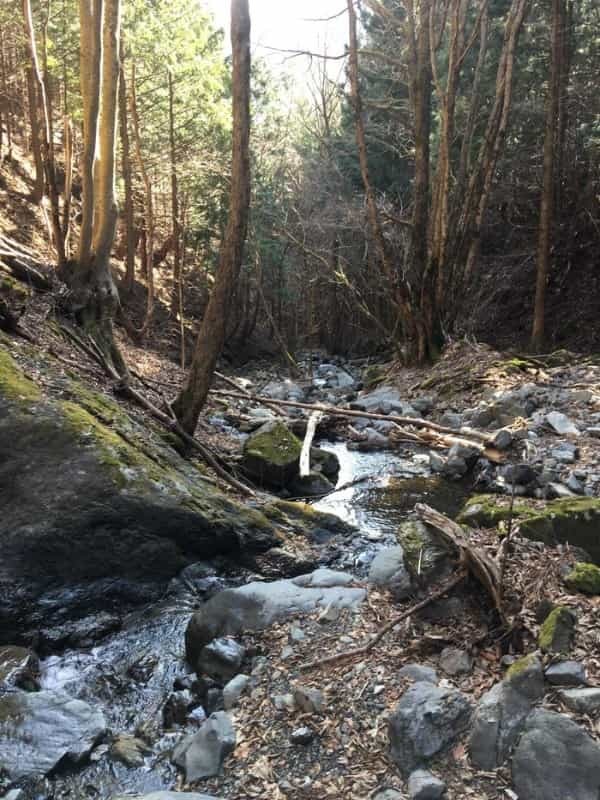 【秀麗富嶽十二景】最終十二番山頂の「本社ヶ丸」はマジきつかった。。。