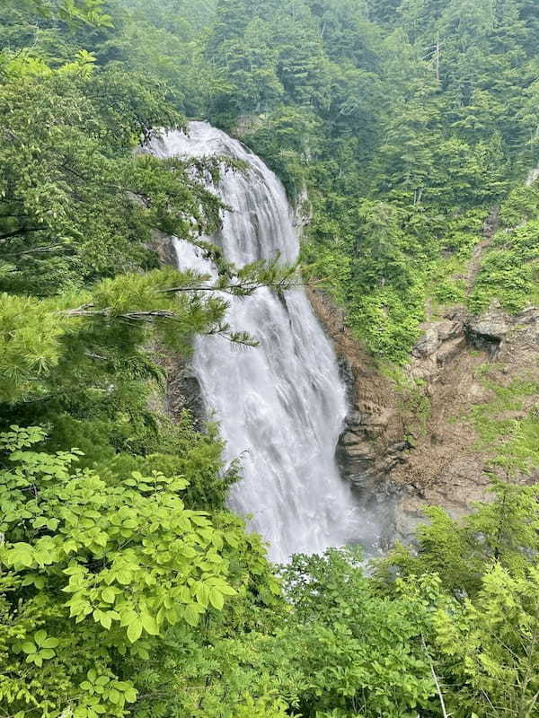 ニッコウキスゲなどカラフルな花々が湿原を彩る夏（7月）の尾瀬