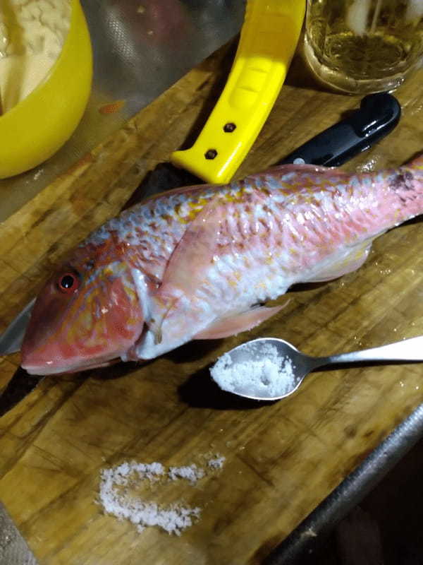 【連載】釣っ食べ第18弾！家の前でうろうろしていた太ったオジサンを喰う！