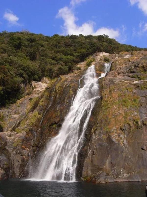 【初めてでも安心】屋久島のトレッキングガイド！準備物やおすすめのコースをご紹介！