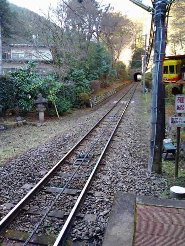 初心者でも楽々登頂！都内からお得に冬の高尾山日帰り旅行♪