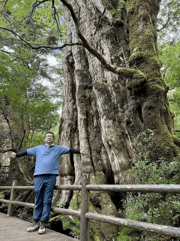 【鹿児島】ヤクスギランドは誰でも気軽に行ける自然植物園