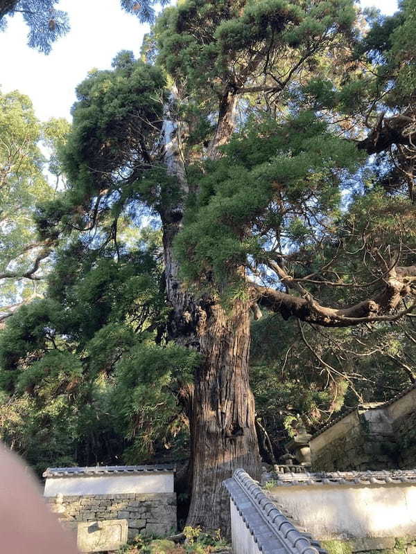 【長崎離島・対馬】教科書では教わらなかった歴史 ～その時、対馬で何が起こっていたのか～