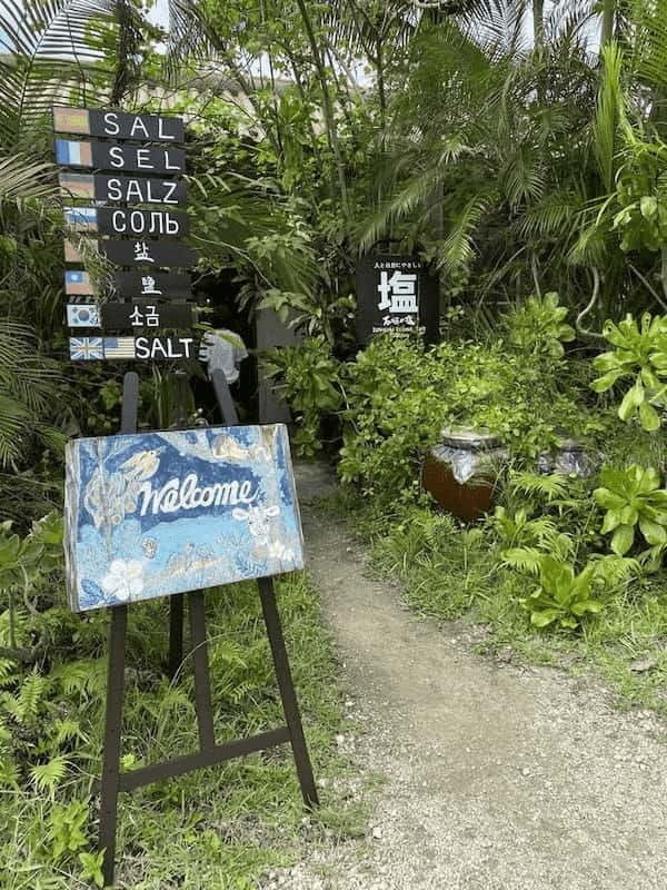 【2022年】沖縄県・離島「石垣島」でドライブ！