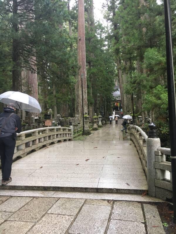 神秘的な世界遺産が集まる紀伊半島に初めて行ってきました