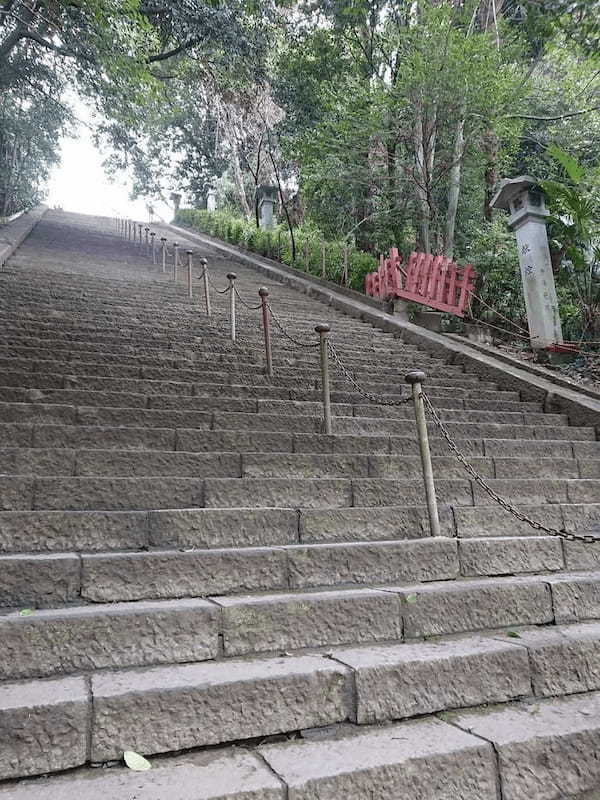 【静岡】至高のツナ缶と清水の絶品刺身定食、そして静岡駅周辺のみどころを紹介