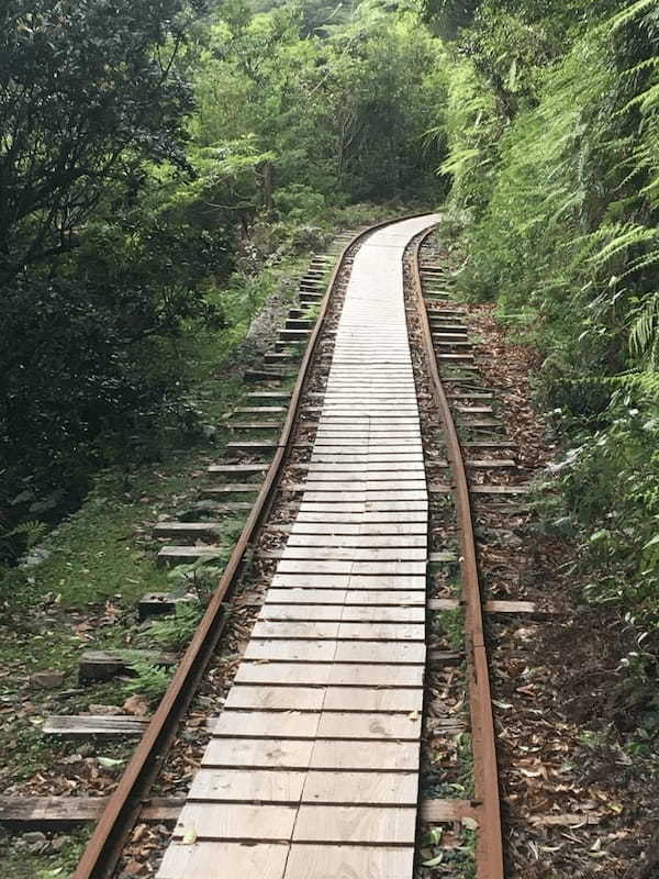 世界自然遺産の屋久島 「縄文杉」に会ってきました