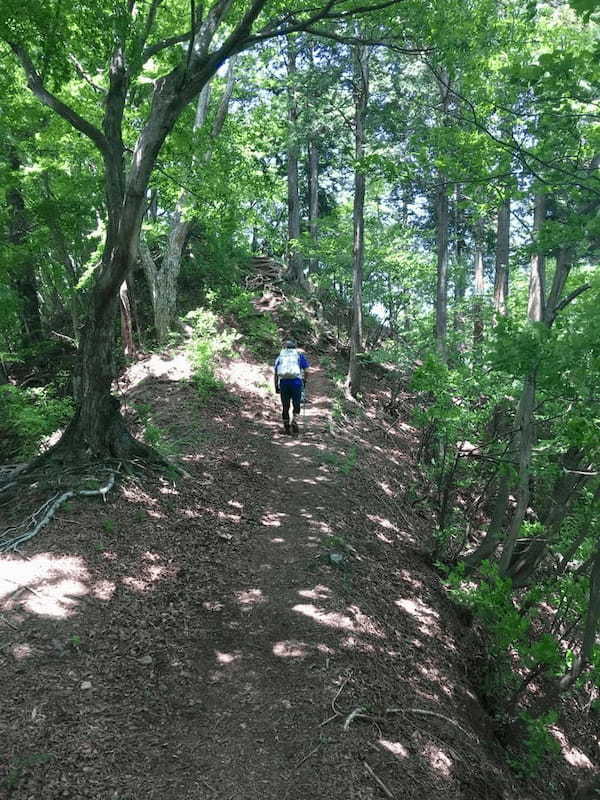 【奥武蔵】武川岳～焼山～二子山 縦走登山ルート