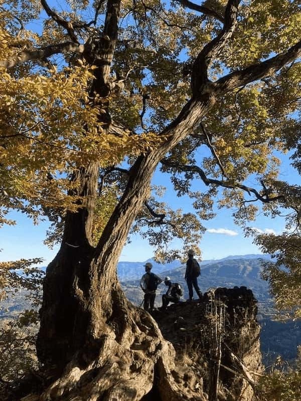 【紅葉登山】上毛三山（赤城山・榛名山・妙義山）晩秋の山旅