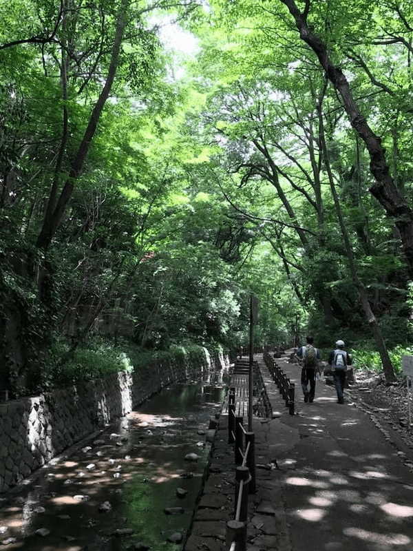 【世田谷】駅から徒歩3分！等々力渓谷を散策して自然の力に癒される