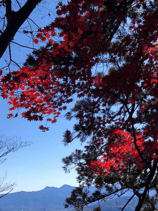 【紅葉登山】上毛三山（赤城山・榛名山・妙義山）晩秋の山旅