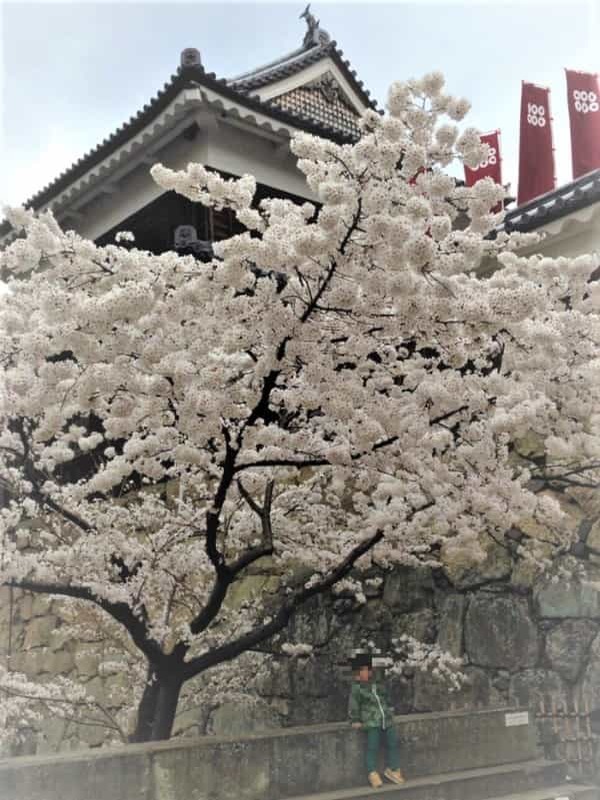 【長野】東京駅から新幹線で1時間半、1日で楽しむ！上田観光