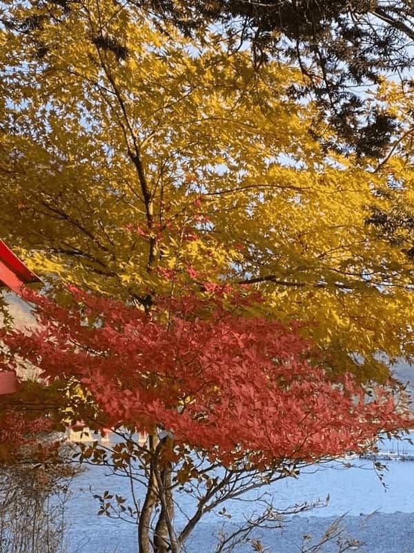 【紅葉登山】上毛三山（赤城山・榛名山・妙義山）晩秋の山旅