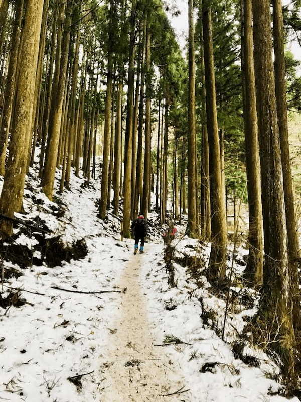 【奈良県】絶景！三峰山の樹氷登山！