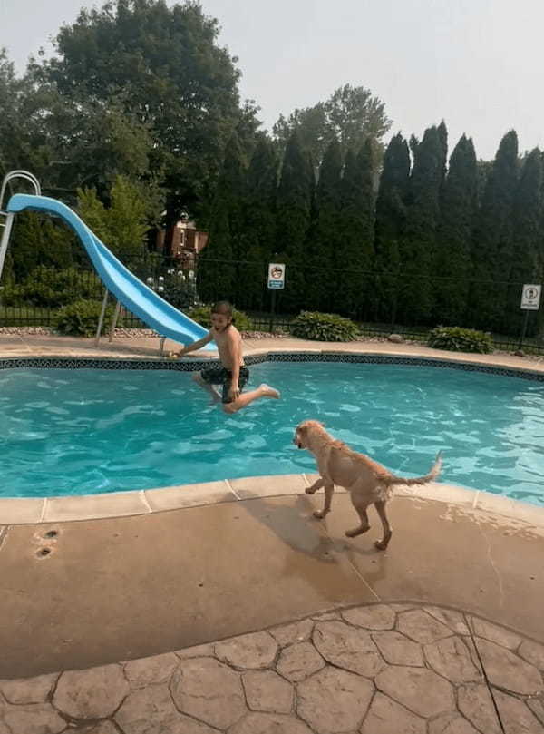 楽しい夏の始まり？愛犬にプールで水遊びを教えます！！【アメリカ・動画】