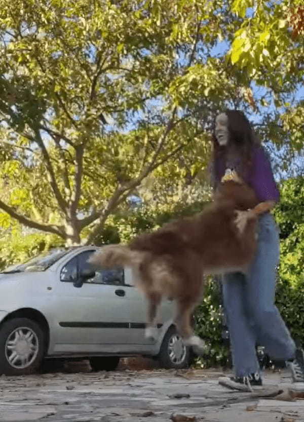 大変だ！犬がカメラをくわえて走って行っちゃった！！後から映像を確認したら、この犬の目線の疾走感ある映像が撮れていました！！