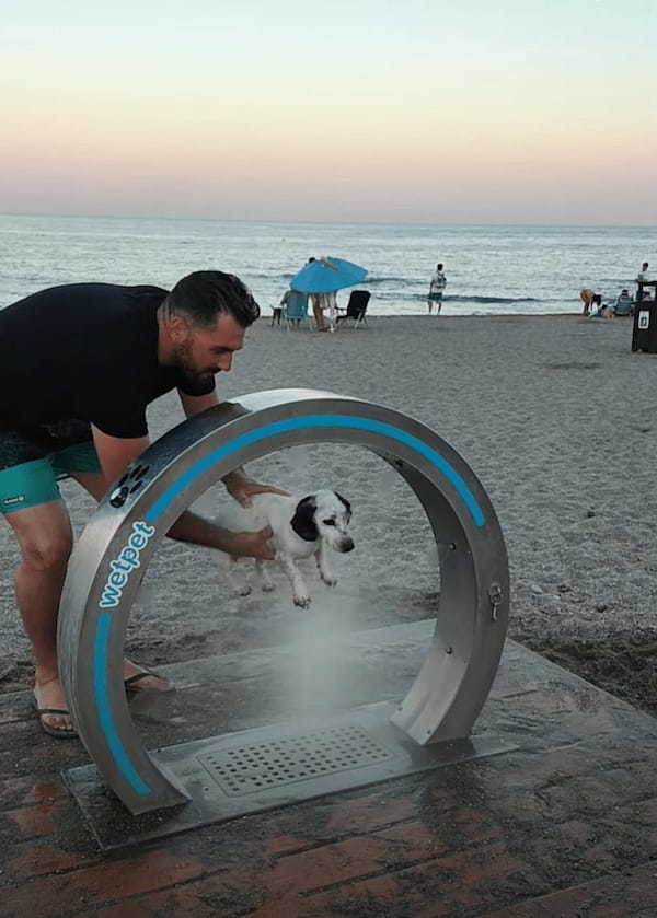 海でたくさん遊んだのかな？ビーチで動くことなく体を丁寧に洗ってもらう愛犬【海外・動画】