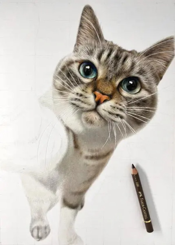 絵？えええ！色鉛筆で描かれた猫の精密さに驚愕　カメラの被写界深度や毛並みも丁寧に再現