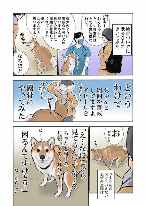 柴犬の言葉を解読！トイレ中のワンちゃんの表情が明かす驚きの心理とは？