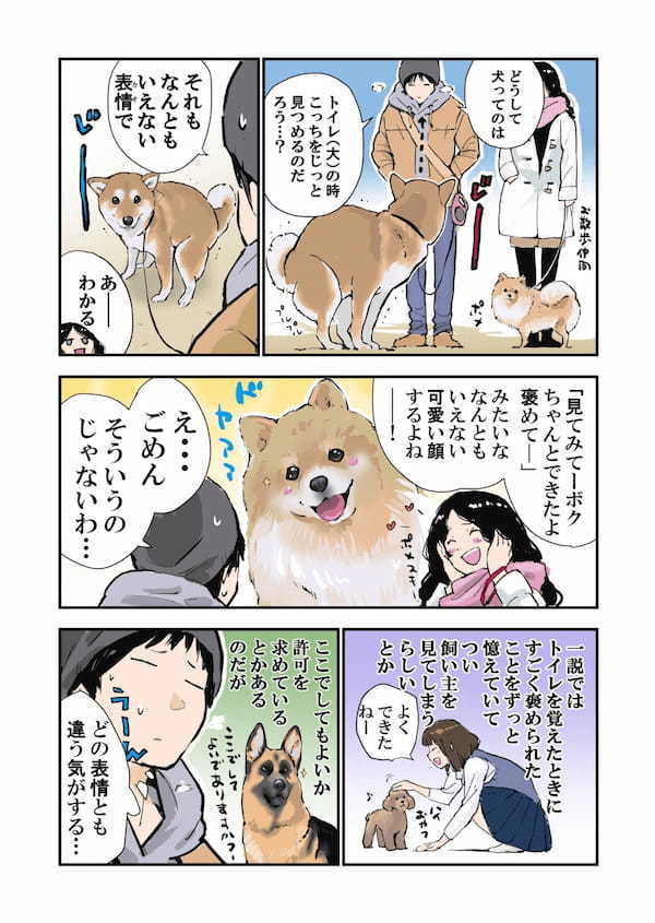 柴犬の言葉を解読！トイレ中のワンちゃんの表情が明かす驚きの心理とは？