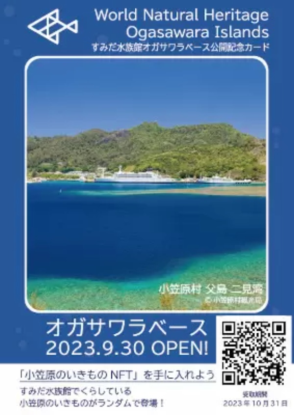 すみだ水族館で新エリア「小笠原」が追加、グッズ販売も