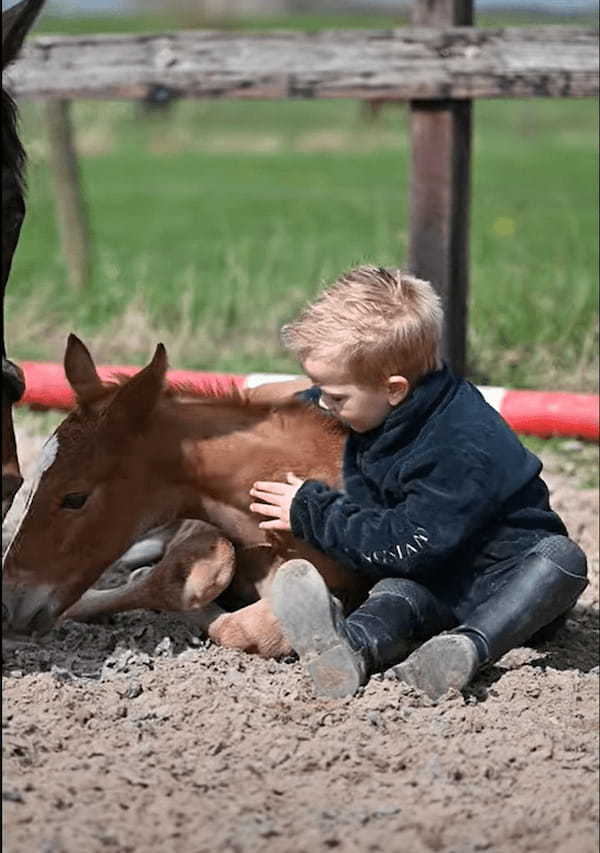 幼い男の子と子馬は大の仲良し！ふたりはずっと離れず尊みにあふれた時間を過ごしていました【海外・動画】